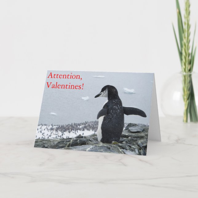 Tarjeta Festiva ¡Atención San Valentín! (Anverso)