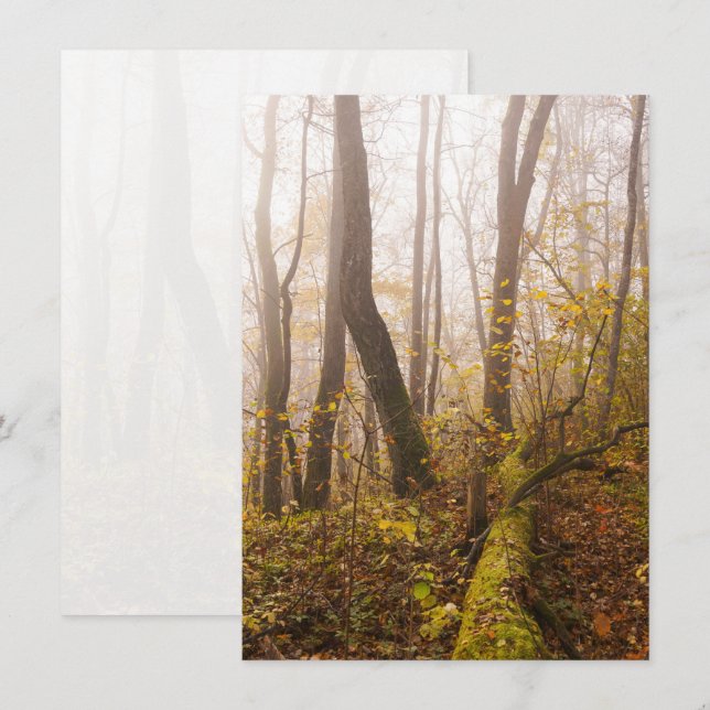 Tarjeta Festiva Atmospheric Autumn Forest in Mist (Anverso / Reverso)