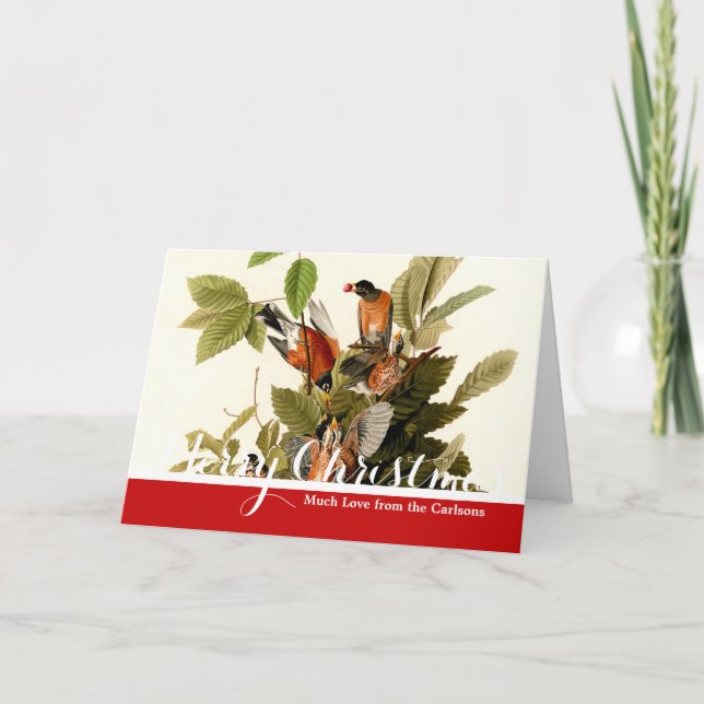 Tarjeta Festiva Audubon American Robin Wildlife Bird Ilustracion (Anverso)