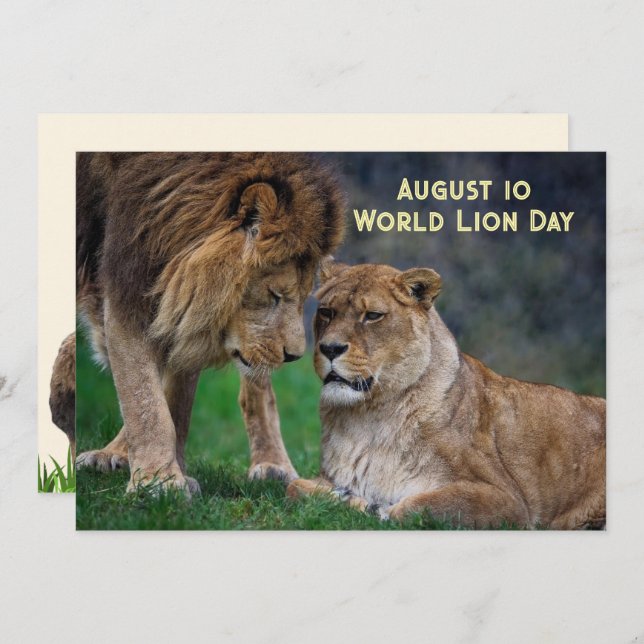 Tarjeta Festiva Aug 10, World Lion Day 5 x 7 card (Anverso / Reverso)