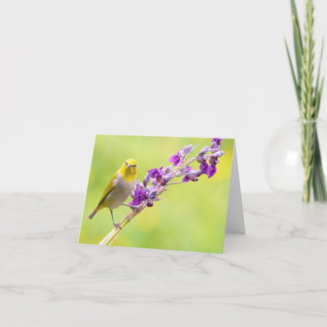 Tarjeta Festiva Ave amarilla/afeitada en ramas de flores moradas (Anverso)
