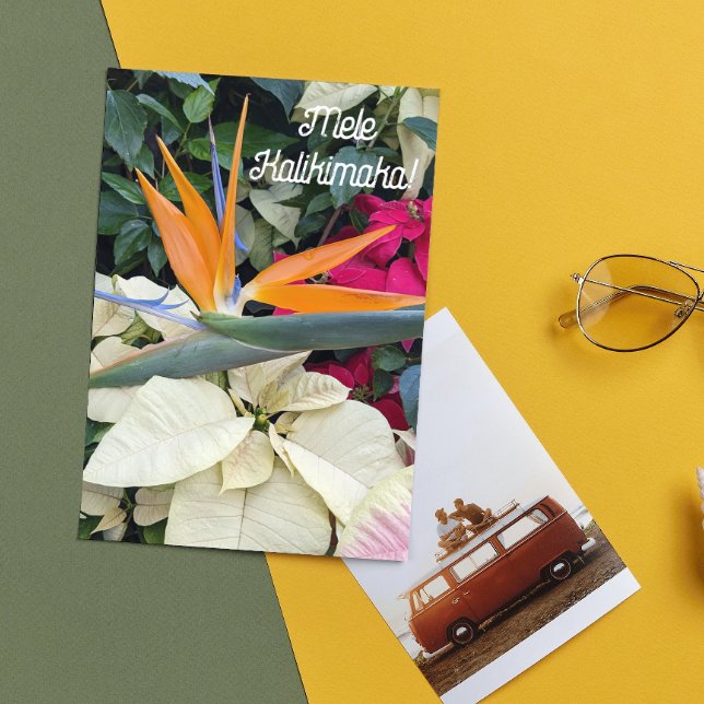 Tarjeta Festiva Ave del paraíso y flor de pascua arreglo floral ha (In Situ)