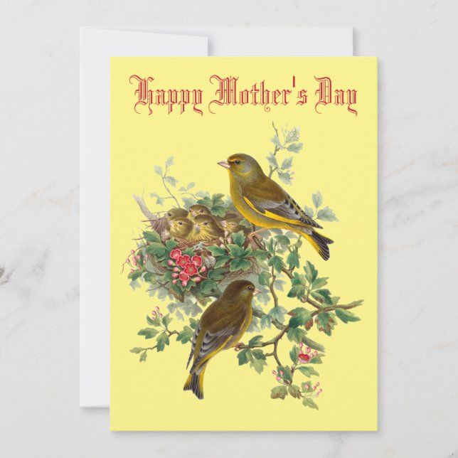 Tarjeta Festiva Aves de bebé ventilado Nido Día de la Madre (Anverso)