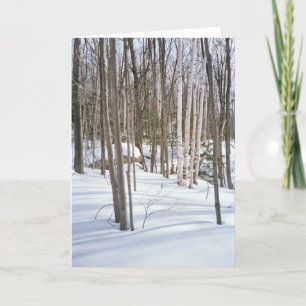 Tarjeta Festiva Aves de nieve