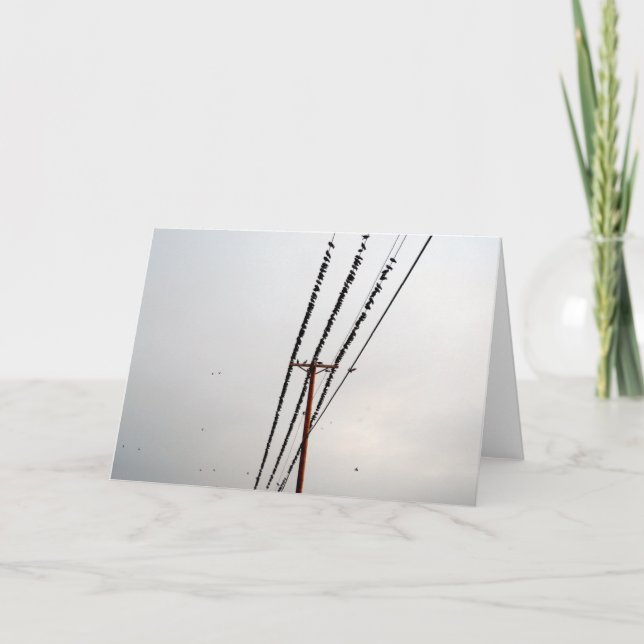 Tarjeta Festiva Aves en un cable (Anverso)