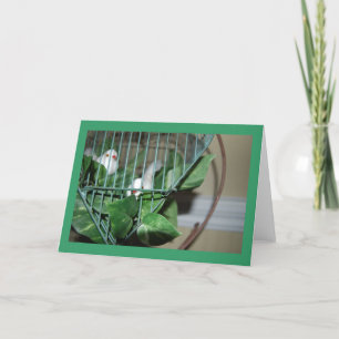 Tarjeta Festiva Aves navidades