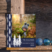 Azul | Pinos Blancos Foto Deseos Jugosos