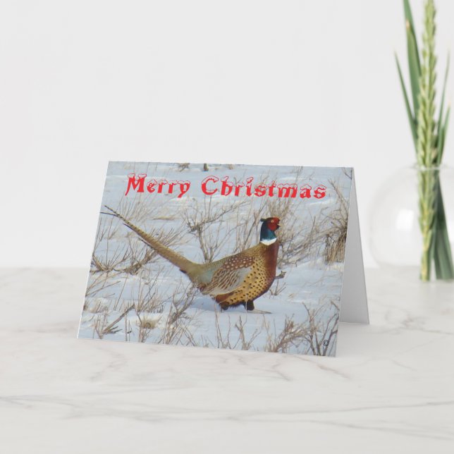 Tarjeta Festiva B22 Ring-Necked Pheasant in Snow Christmas Card (Anverso)
