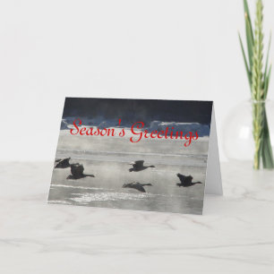 Tarjeta Festiva B47 Geese canadiense sobre río congelado