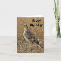 B57 Meadowlark Occidental