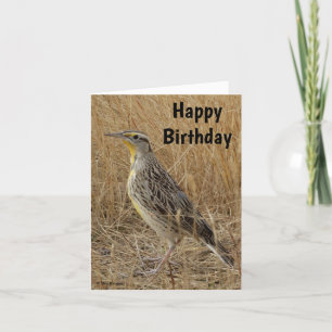 Tarjeta Festiva B57 Meadowlark Occidental