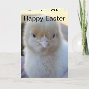 Tarjeta Festiva Baby_Chicken_Easter_Greeting_Card.
