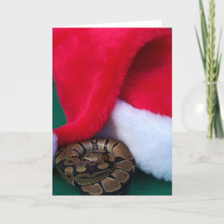 Tarjeta Festiva Ball Python al lado de Santa Hat, Navidades de ser
