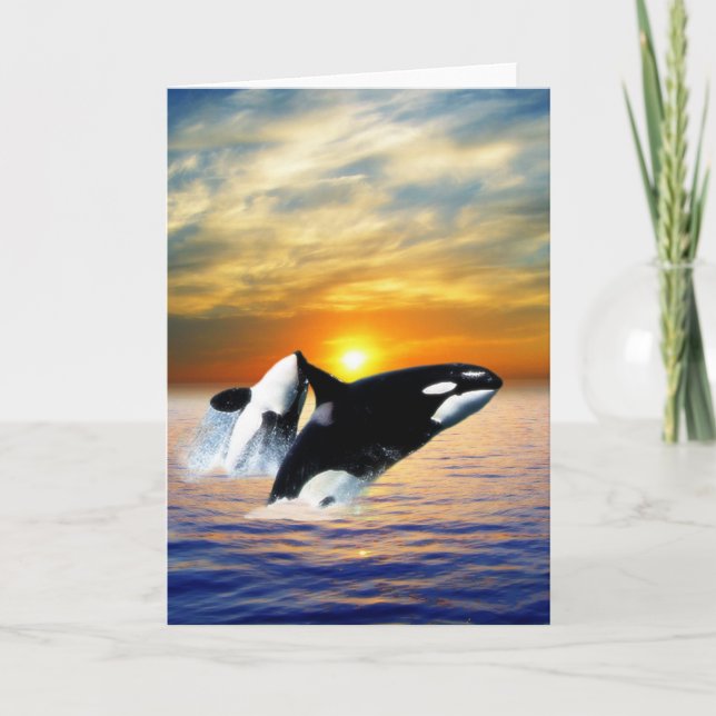 Tarjeta Festiva Ballenas en la puesta del sol (Anverso)