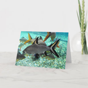 Tarjeta Festiva Banco de peces en primavera, España