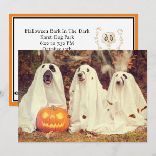 Tarjeta Festiva Bark En La Oscura Fiesta De Halloween Para Los Per