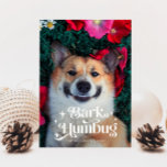 Tarjeta Festiva BARK HUMBUG Funny Dog Navidades<br><div class="desc">Cuidada y divertida tarjeta de plantilla de fotos para Navidades vacacionales para dueños de perros con un texto de tipografía retro en la parte superior que dice "cochinillo de ladrido" con la foto de tu perro.</div>