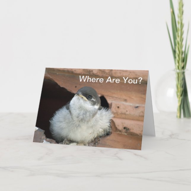Tarjeta Festiva Barn Swallow Valentcard (Anverso)