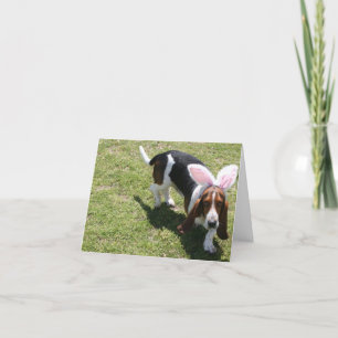 Tarjeta Festiva Bassett del conejito
