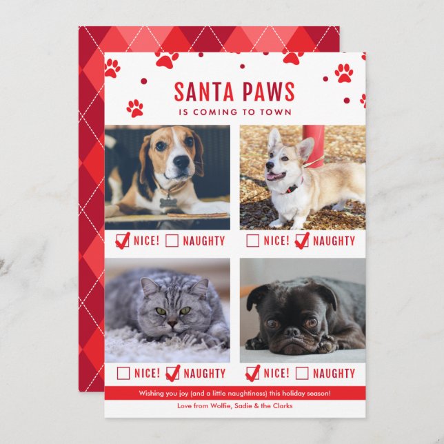 Tarjeta Festiva Bastante traviesa o lindo foto de cuatro Navidades (Anverso / Reverso)