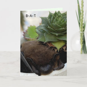 Tarjeta Festiva Bat Birthday Card - Cumpleaños Felicitaciones a us