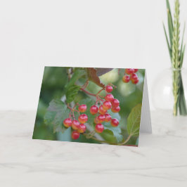 Tarjeta Festiva Bayas rojas