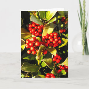 Tarjeta Festiva Bayas rojas de invierno en Jersey