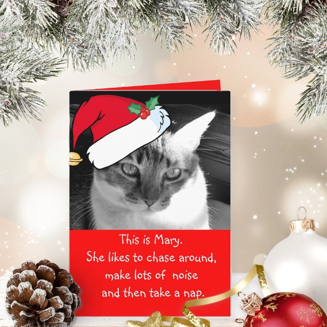 Tarjeta Festiva Be Mary Holiday Card (This cute card is purr-fect for cat lovers to give or receive!)