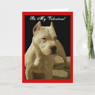 Tarjeta Festiva Be My Valentine pitbull greeting card
