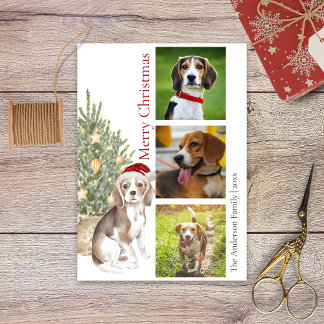Tarjeta Festiva Beagle Christmas Tree Mascota Dog Photo