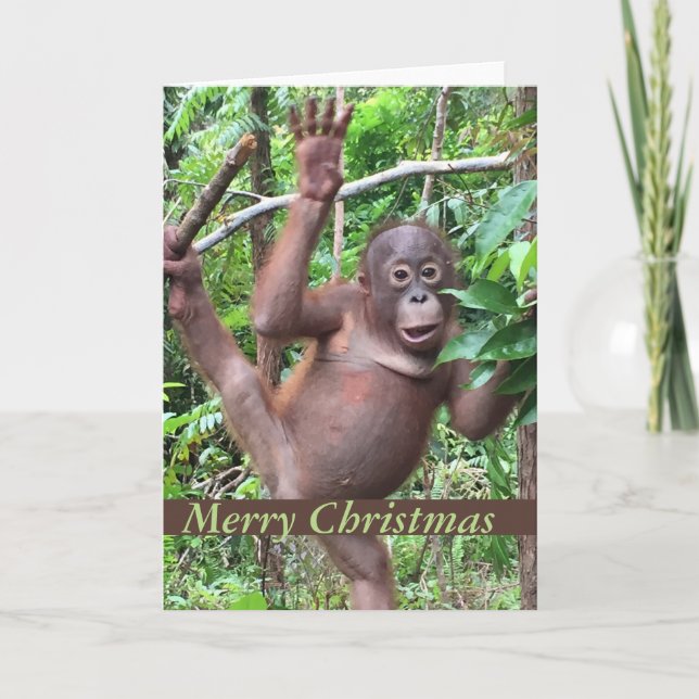 Tarjeta Festiva Bebé animal lindo del orangután de las Felices (Anverso)