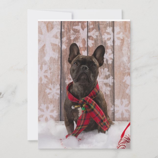 Tarjeta Festiva Bebé de Frenchie (Anverso)