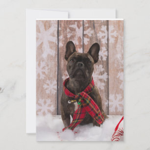 Tarjeta Festiva Bebé de Frenchie