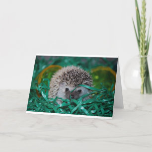 Tarjeta Festiva Bebé de peluche en la hierba de Pascua