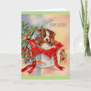 Tarjeta Festiva Bebé hermoso Boston Terrier de los mediados de
