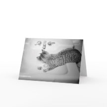 Beber gato de un retro de grifo rosado