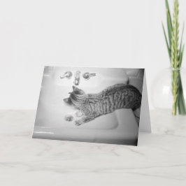 Tarjeta Festiva Beber gato de un retro de grifo rosado