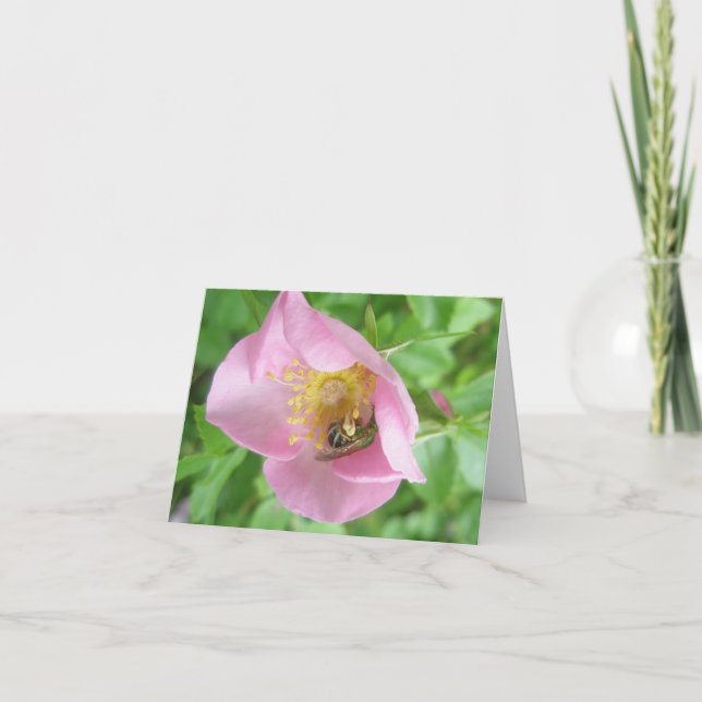 Tarjeta Festiva Beefly in Rosa Note Card (Anverso)