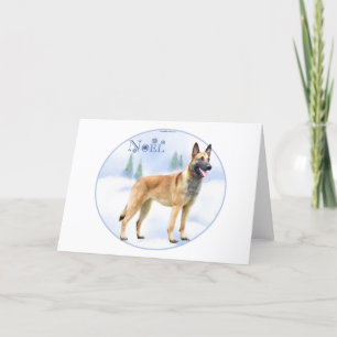 Tarjeta Festiva Belga Malinois de Noel