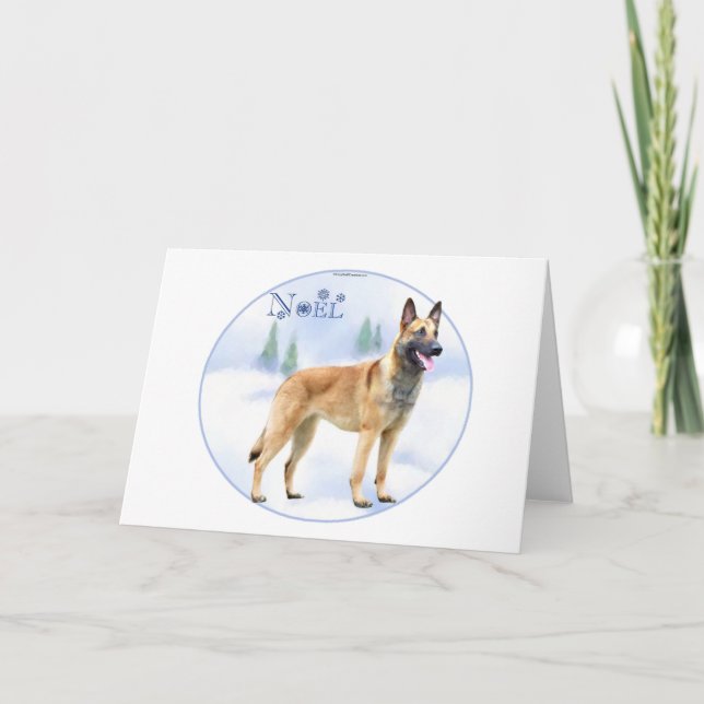 Tarjeta Festiva Belga Malinois de Noel (Anverso)
