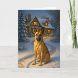 Tarjeta Festiva Belgian Malinois Holiday Card