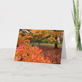 Tarjeta Festiva Belleza de otoño