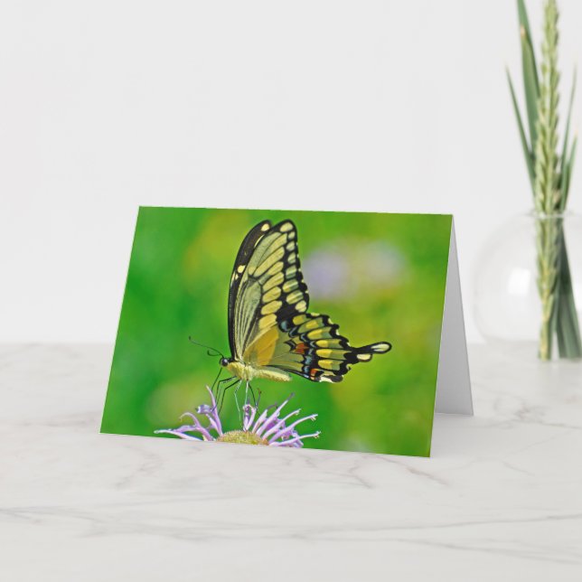 Tarjeta Festiva Bendiciones de Año Nuevo Butterfly (Anverso)