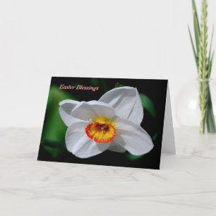 Tarjeta Festiva Bendiciones de Pascua