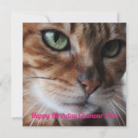 Bengala Cat Photograph Birthday Day Card