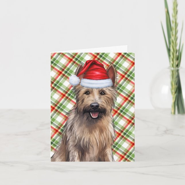 Tarjeta Festiva Berger Picard Navidades Perro Día de vacaciones (Anverso)
