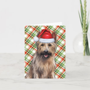 Tarjeta Festiva Berger Picard Navidades Perro Día de vacaciones