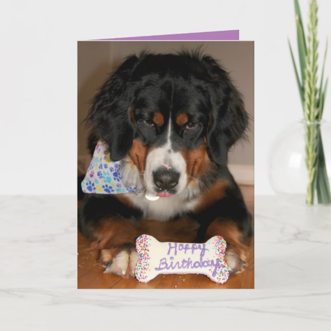 Tarjeta Festiva Bernese Mountain Dog Birthday (Anverso)