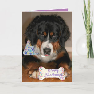 Tarjeta Festiva Bernese Mountain Dog Birthday