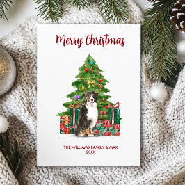 Tarjeta Festiva Bernese Mountain Dog Navidades Card
